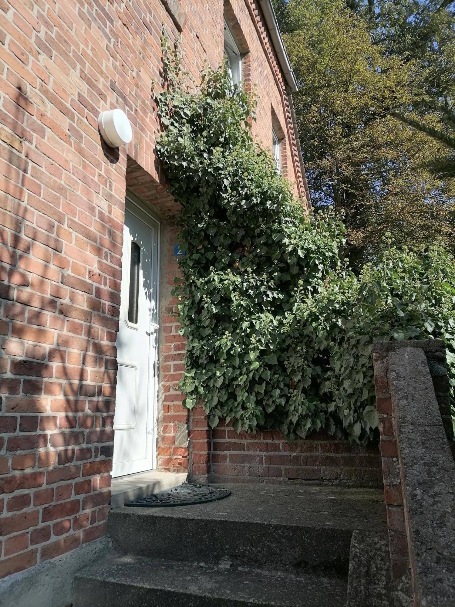 Gutshaus Daemelow Tussen Schwerin En Wismar Bagian luar foto