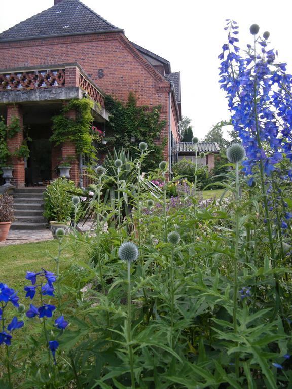 Gutshaus Daemelow Tussen Schwerin En Wismar Bagian luar foto